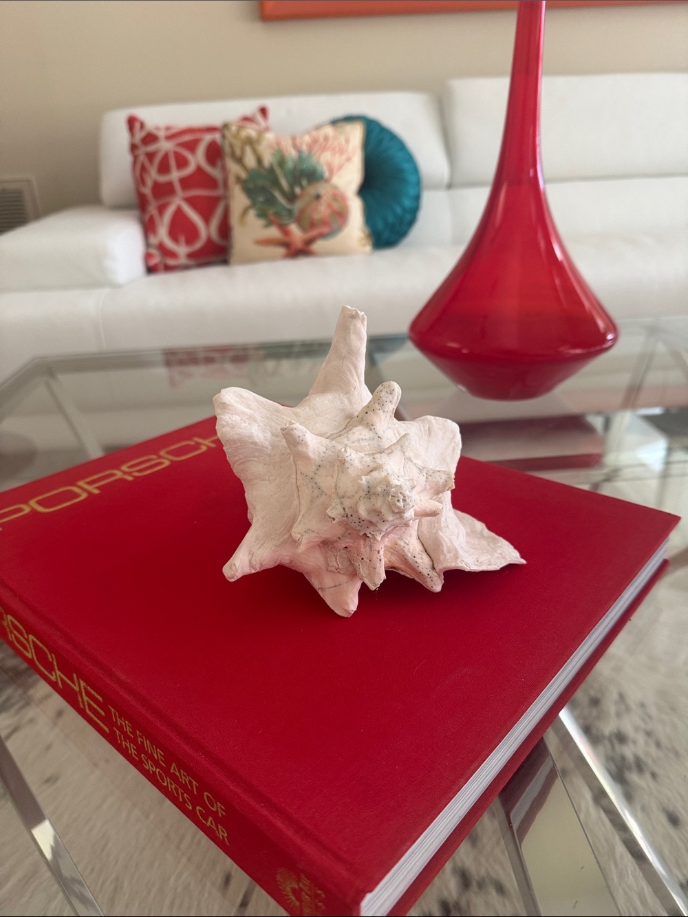 Conch Shell